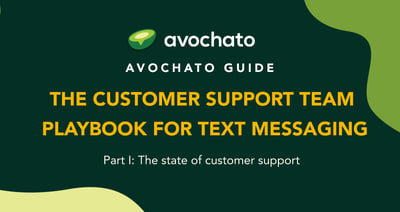 The Marketing Team Playbook for Text Messaging - part I